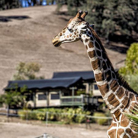Hotel Safari West Mark West Springs Exteriér fotografie